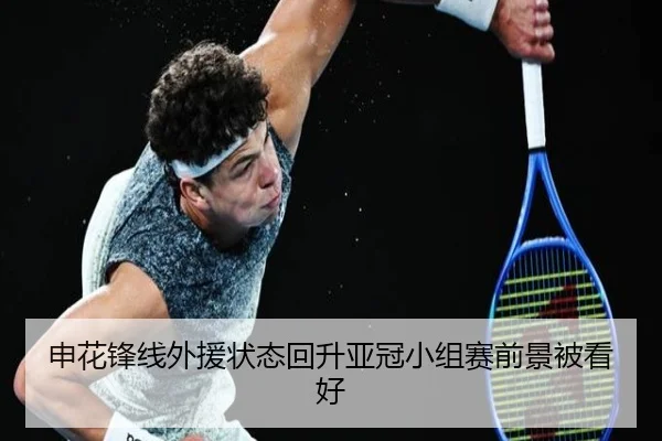 申花锋线外援状态回升亚冠小组赛前景被看好 | hth